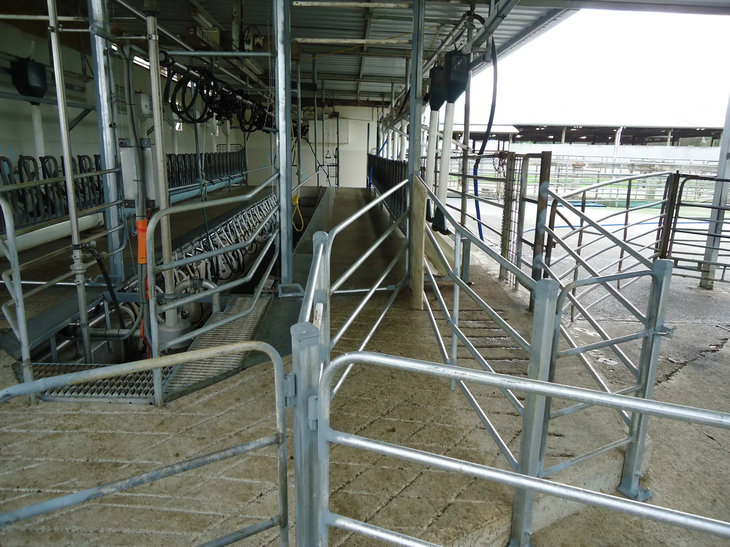 A dairy shed built by We Do It All Ltd
