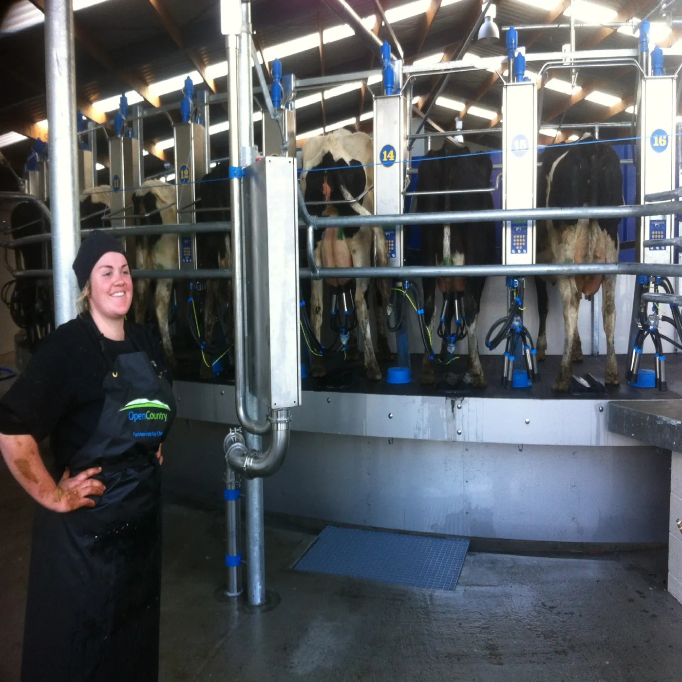 A We Do It All Ltd milking shed build on a Waikato farm